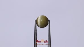 Catseye - 4.2 Carat