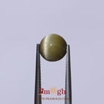 Catseye - 4.2 Carat