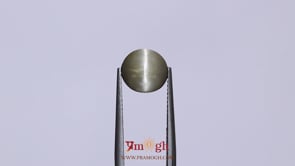 Catseye - 3.6 Carat