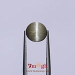 Catseye - 3.6 Carat