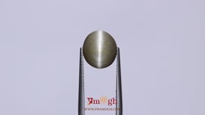 Catseye - 3.15 Carat