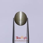 Catseye - 3.15 Carat
