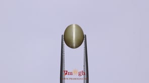 Catseye - 3.2 Carat