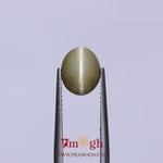 Catseye - 3.2 Carat