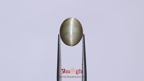 Catseye - 3.2 Carat