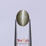 Catseye - 3.2 Carat