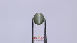 Catseye - 3.05 Carat