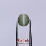 Catseye - 3.05 Carat