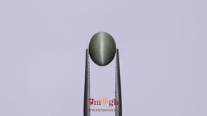 Catseye - 3.25 Carat