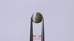 Catseye - 3.47 Carat