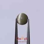Catseye - 3.47 Carat