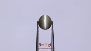 Catseye - 3.1 Carat