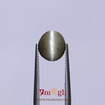 Catseye - 3.1 Carat