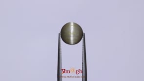 Catseye - 3.22 Carat