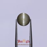 Catseye - 3.22 Carat