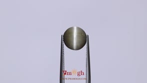 Catseye - 3.2 Carat