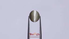 Catseye - 3.15 Carat