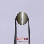 Catseye - 3.15 Carat