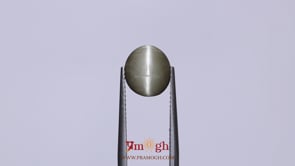 Catseye - 2.75 Carat