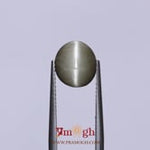 Catseye - 2.75 Carat