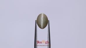 Catseye - 3.25 Carat