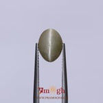 Catseye - 3.25 Carat