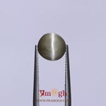 Catseye - 3.2 Carat