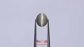 Catseye - 3.03 Carat