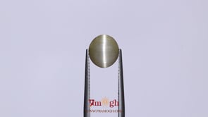 Catseye - 2.85 Carat