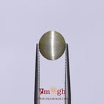 Catseye - 2.85 Carat