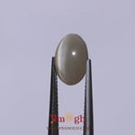 Catseye - 3.15 Carat