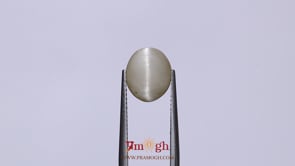 Catseye - 3.1 Carat
