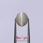 Catseye - 3.1 Carat