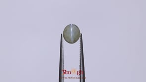 Catseye Chrysoberyl  - 2.5 Carat