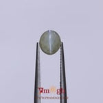 Catseye Chrysoberyl  - 2.5 Carat