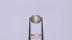 Catseye Chrysoberyl  - 1.9 Carat