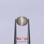 Catseye Chrysoberyl  - 1.9 Carat