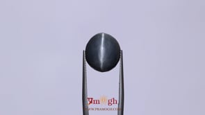 Catseye - 12.95 Carat