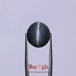 Catseye - 12.95 Carat