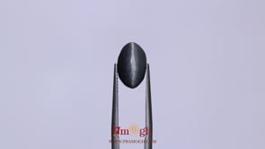 Catseye - 4.83 Carat