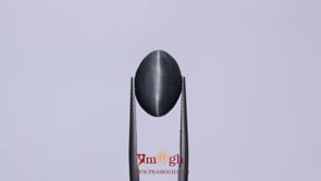 Catseye - 7.57 Carat