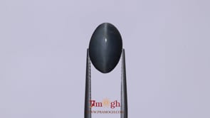 Catseye - 6.05 Carat