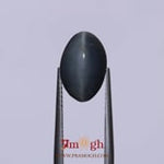 Catseye - 6.05 Carat