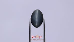 Catseye - 7.05 Carat