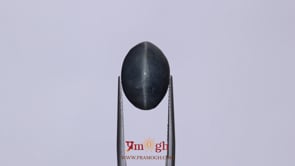 Catseye - 11.95 Carat
