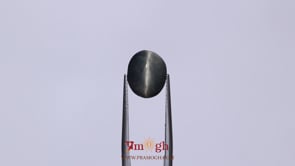 Catseye - 6.35 Carat