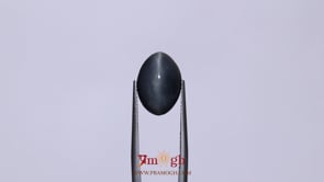 Catseye - 8.17 Carat