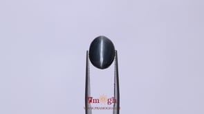 Catseye - 6.55 Carat