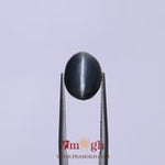 Catseye - 6.55 Carat