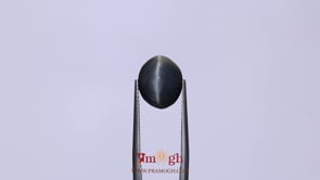 Catseye - 6.5 Carat